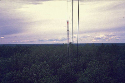 Small tower in the Prairies and an apparatus for evaluating net primary productivity