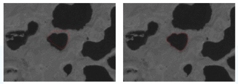 Figure 2. : In the pair of images above, on the left side is a Level 1G product exhibiting nonconformity of the image with the vector outline of a known lake location shown in red. Image on the right side is the result following the ortho-rectification procedure. The image location of the lake matches well with the red vector outline in this product.