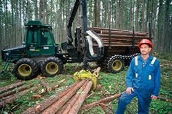 Forestry worker wearing a hard hat standing next to a stack of felled trees on the ground in front of lumber truck. 