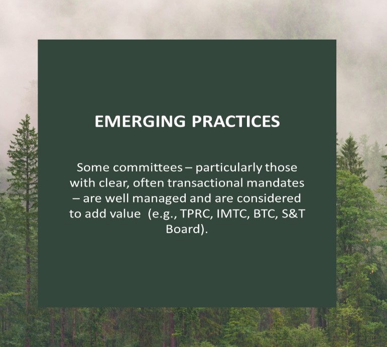 image of a box with text with a forest in the background