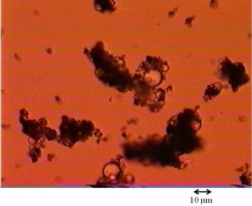 Microscopic view of aggregated droplets of emulsified water and mineral solids in paraffinic froth treatment
