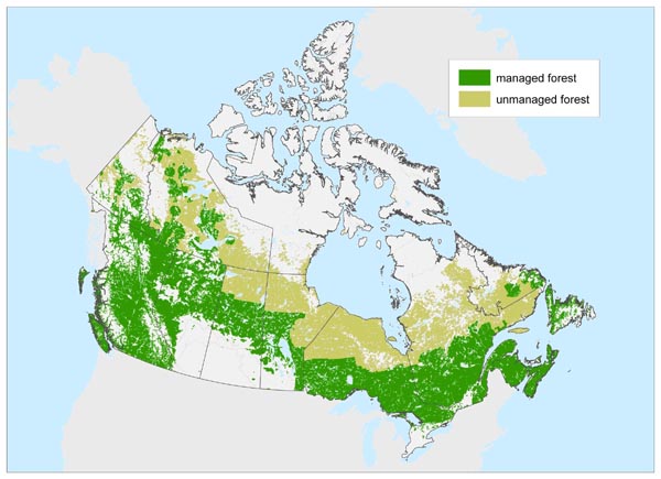 A map showing managed and unmanaged forest lands in Canada.
