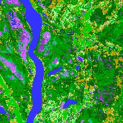 Land cover data representing various forest and non-forested classes