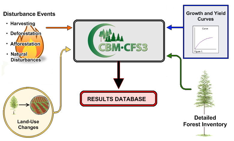 Diagram of the National Forest Carbon Monitoring, Accounting, and Reporting System. Disturbance events , land-use changes, growth and yield curves, and detailed forest inventory are inputs into CBM-CFS3, which has an output into the Results Database.