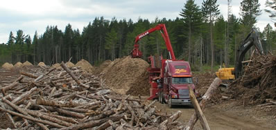 Grinding operation after biomass harvest