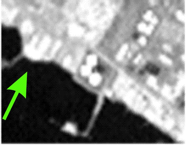 Satellite image: LANDSAT TM