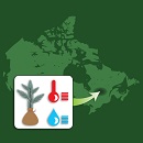 Image showing the map of Canada superimposed by an inset displaying icons of a tree seedling, a rain drop, and a temperature column. 