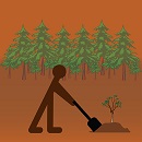 Image showing a forest with an icon of a person planting a tree.