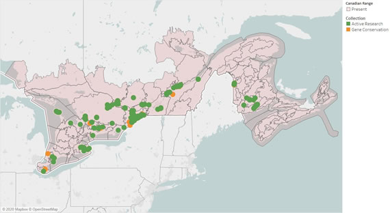 Figure 5 – Map showing Canadian ecodistricts where green ash is present in Ontario, Quebec and the Maritimes as well as the location of NTSC seed collections that are available for research (2020).