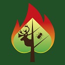 Image showing the shape of a spade, representing a tree as well as a leaf and containing the silhouette of a caribou and an insect, surrounded by an enlarged flame.