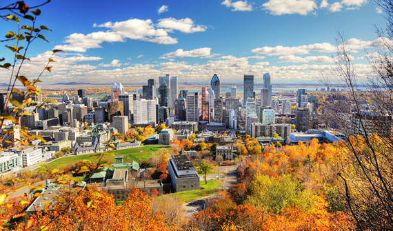 Cityscape of Montréal, Québec with urban forest displaying fall colours.