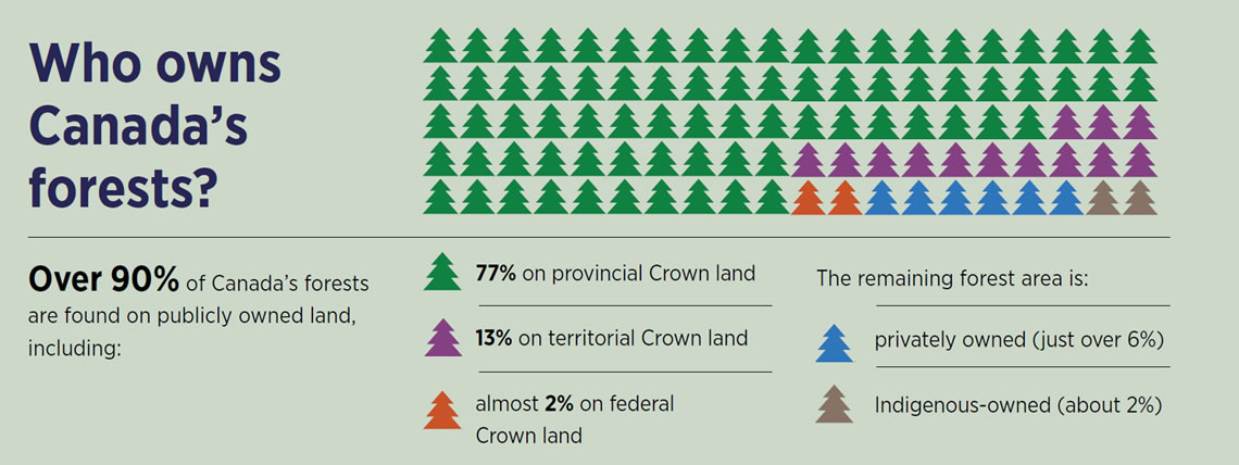 A graph showing the percentage breakdown of who owns Canada’s forests, described below.