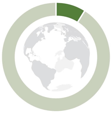 Donut graph showing 9%, which represents the total amount of forest Canada has compared to the entire world, with a map of the world in the centre.
