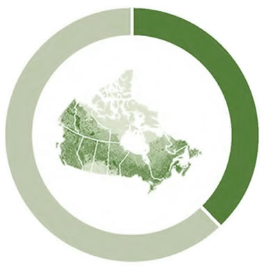Donut graph showing 38%, which represents the amount of Canada’s land area that is covered with forests, with a map of Canada’s forest area in the centre.