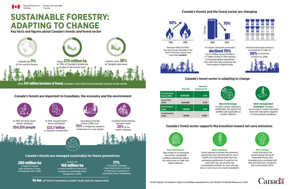 Infographic - Canada is a leader in sustainable forest management, described below.