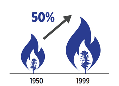 Two side by side stylized flames of different sizes. An arrow points upward between the flames, representing a 50% increase in the annual area burned in the North American boreal zone between 1950 and 1999.