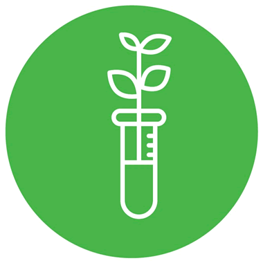 Icon showing a stylized test tube with a seedling growing in it.