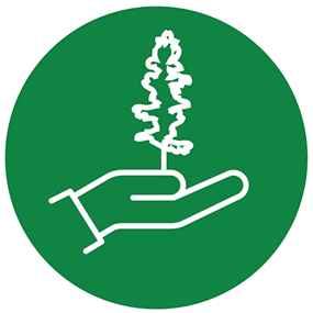 Icon showing a stylized hand holding a conifer seedling.