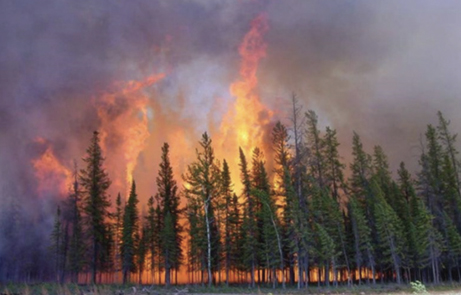 Image of a forest fire in a Canadian boreal forest