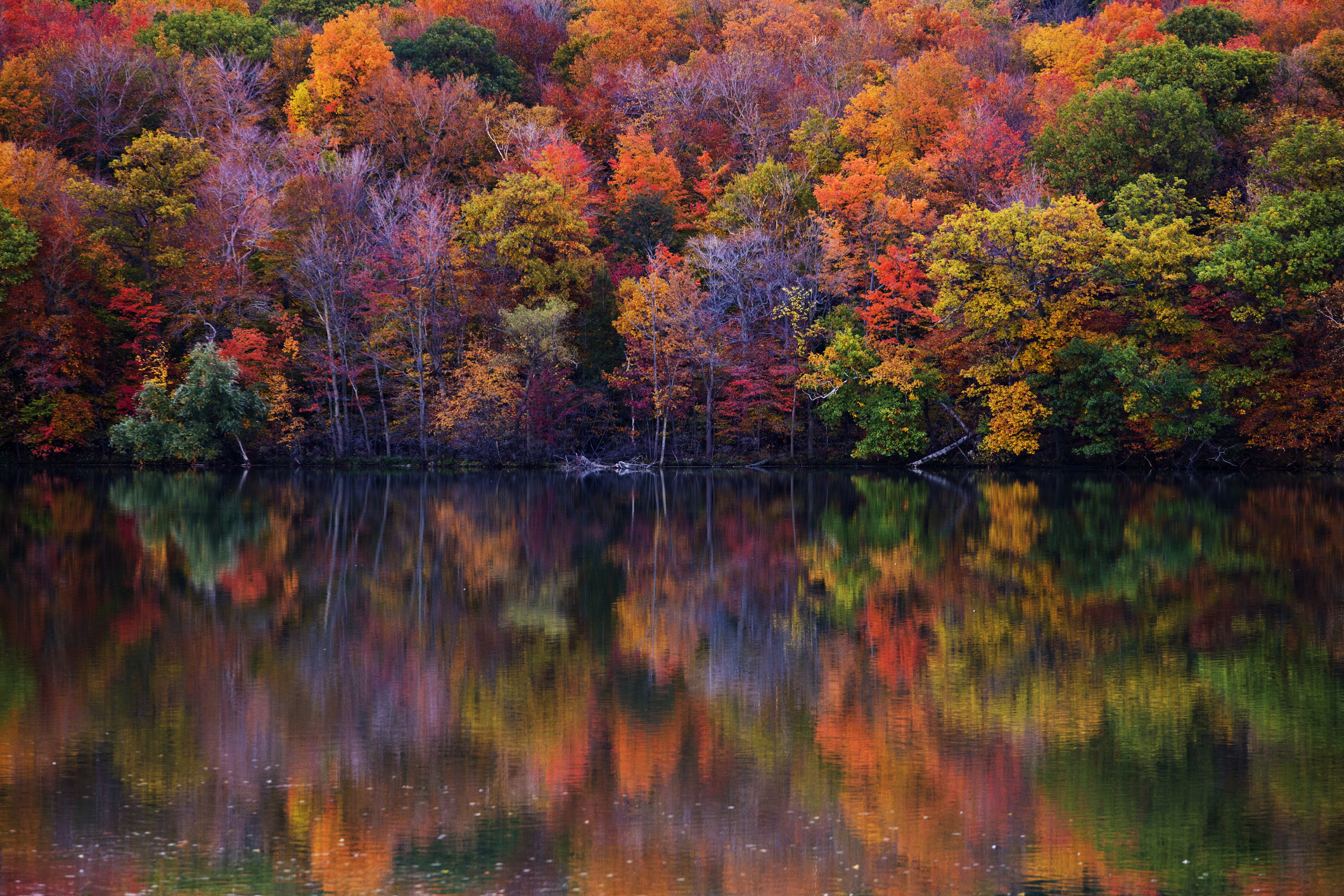 Colorful Canadian fall in Mont-Saint-Bruno National Park, Quebec