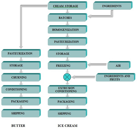 Production of butter and ice cream: main steps in the process
