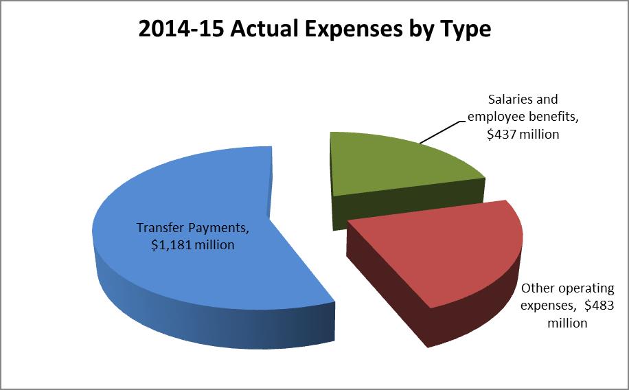 2014-15 Actual Expenses by Type (in millions of dollars)