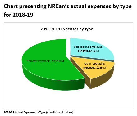 2018-19 Expenses by Type, described below