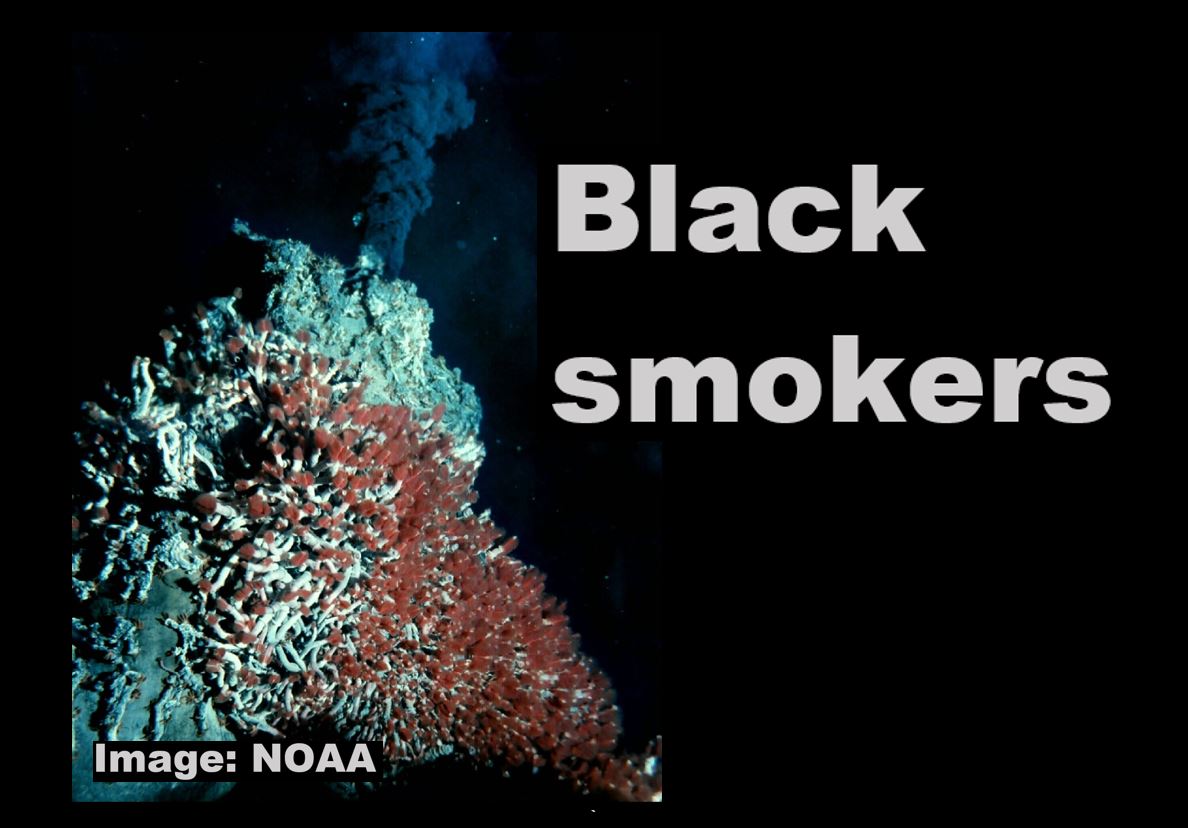 A black smoker.