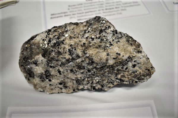 A small multicolour stone resting on a piece of paper is actually a carbonatite sample with rare earth elements from Oka, Quebec