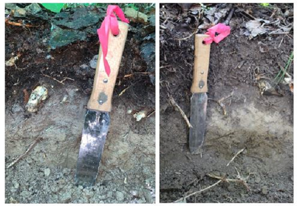 A side-by-side comparison of a tool inserted into the ground, one in an area that has earthworms, the other in an area that does not.