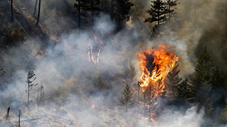 A glimpse into the future of the boreal forest: less frequent but more aggressive fires