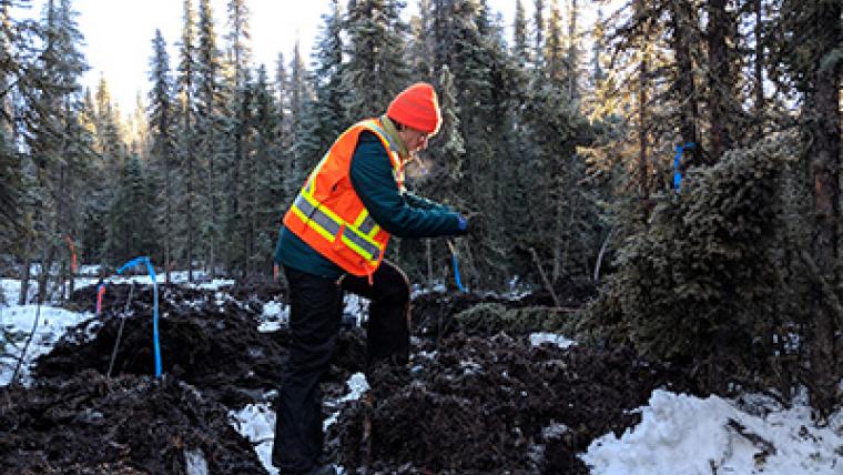 A 360-degree VR look inside Canada’s boreal forest on the road to restoration