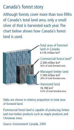 Canada's forest story
