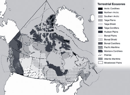 Map: Terrestrial Ecozones