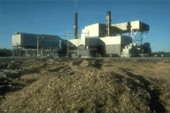 Biomass energy plant