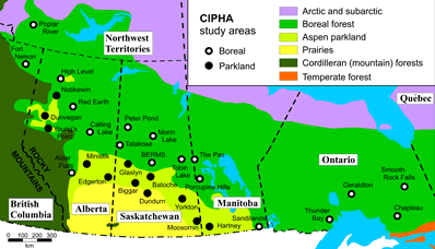 Map showing the location of 30 CIPHA study areas in the boreal forest and aspen parkland of west-central Canada