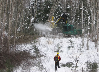 Forest harvesting in a riparian area to emulate natural shoreline disturbance patterns in the boreal forest of northern Ontario.
