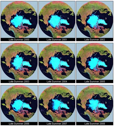 This figure shows nine data sets produced from MODIS satellite images. These products show polar projection terrestrial environmental variations between the summer of 2000 and the summer of 2008.