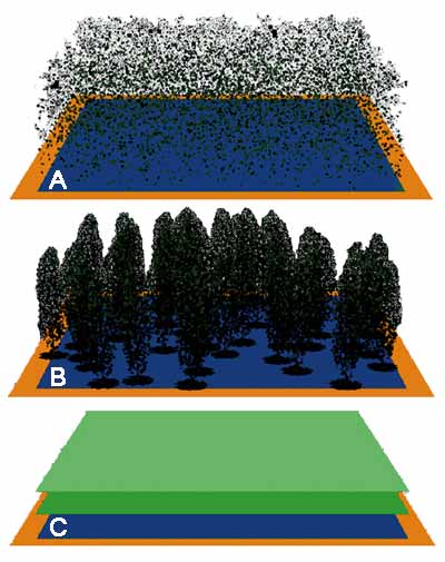 Figure 1: These three simulations have the same LAI of 2.0 buta) random distributionb) Clumped distributionc) all leaves removed and placed side by side to form 2 layers covering the domain.