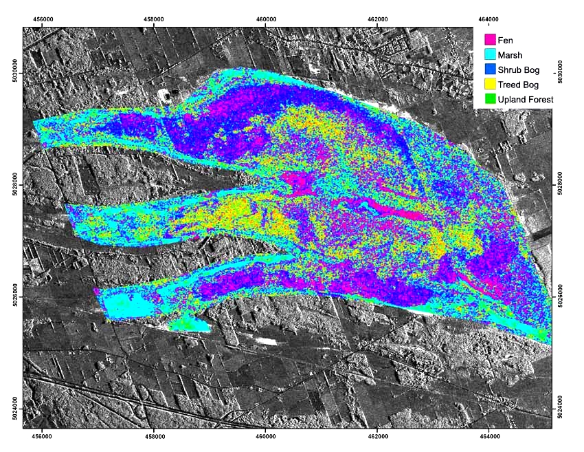 Simulated Radarsat-1 image of Mer Bleue, located east of Ottawa. A classification of wetlands in the image using the Touzi polarimetric scattering phase was applied. The result is an image where each vegetation class is mapped.