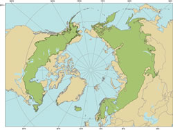 Map of the global distribution of boreal forest.