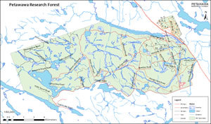 Map of the Petawawa Research Forest.