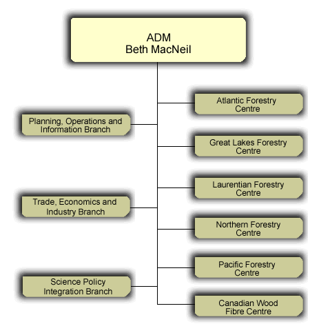 CFS organizational chart