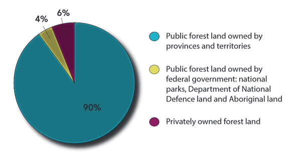 A pie chart illustrating: 90% – Public forest land owned by provinces and territories, 4% – Public forest land owned by federal government national parks, Department of National Defence land and Aboriginal land, 6% – Privately owned forest land.