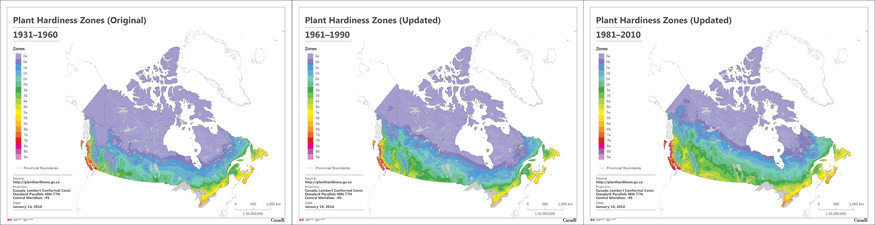 Three maps showing the Plant Hardiness Zones in Canada for the periods: 1931 to 1960; 1961 to 1990; and 1981 to 2010.