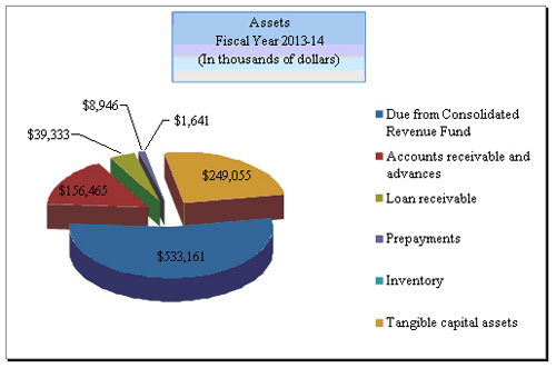 The chart presents  presents NRCan’s projected assets at the end of 2013-14.