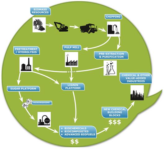 Circle graph depicting biorefinery pathways